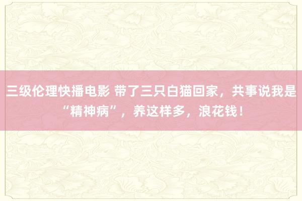 三级伦理快播电影 带了三只白猫回家，共事说我是“精神病”，养这样多，浪花钱！